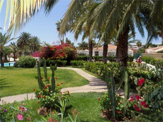 Bungalows Miraflor Suites - Bilder-Galerie in Gro&szlig;aufnahme - bitte hier klicken !