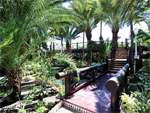Hotel Parque Tropical 09