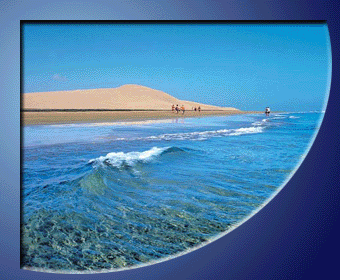 Rey Sol, Urlaub Fotos Gran Canaria