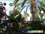 Miraflor Park 02