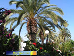 Miraflor Park 03