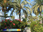 Miraflor Park 05