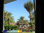 Miraflor Park 15