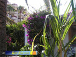 Miraflor Park 18