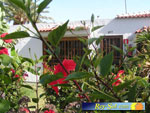 Miraflor Park 19