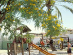 Sol Barbacan 15