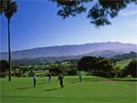 Hotel Vik Bandama Golf 11
