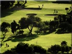 K&ouml;niglicher Golfclub Bandama