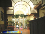 Bungalows El Palmeral 04