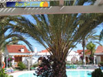 Bungalows El Palmeral 05