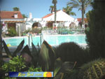 Bungalows El Palmeral 07