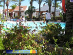 Bungalows El Palmeral 08