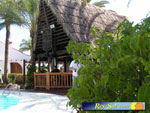 Bungalows El Palmeral 09