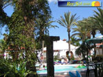 Bungalows El Palmeral 10