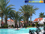 Bungalows El Palmeral 13