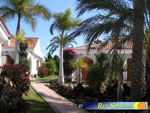 Bungalows El Palmeral 15