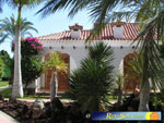 Bungalows El Palmeral 16