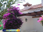 Bungalows El Palmeral 19