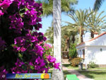 Bungalows El Palmeral 21