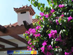 Bungalows El Palmeral 22