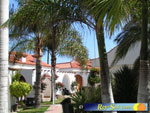 Bungalows El Palmeral 23