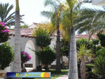 Bungalows El Palmeral 26