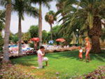 Green Oasis Club 06
