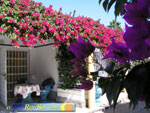 Bungalows Laura 03