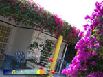 Bungalows Laura 11
