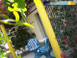 Bungalows Laura 12