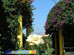 Bungalows Laura 19