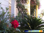 Bungalows Laura 22