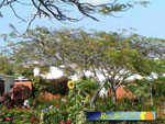Bungalows Los Melocotones 03