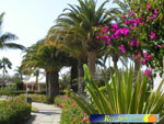 Bungalows Los Melocotones 04
