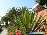 Bungalows Los Melocotones 05