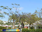 Bungalows Los Melocotones 10