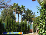 Bungalows Los Melocotones 12