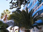 Caserio Azul 10