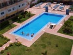 Las Camelias 10