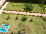Las Camelias 13