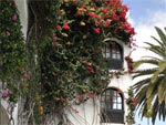 Apartments El Chaparral 21