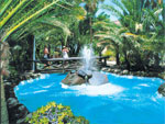 Hotel Parque Tropical 12